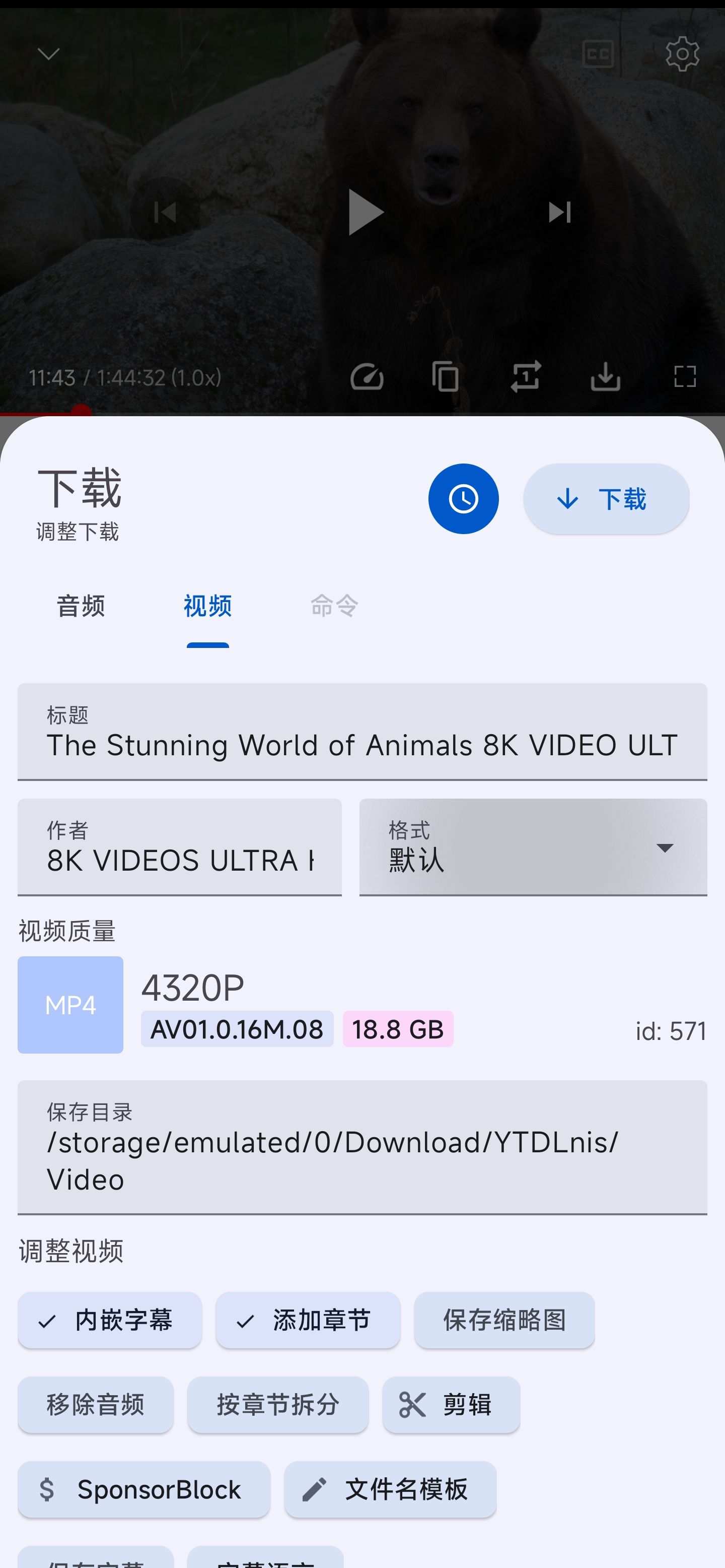 图片[3]-YTDLnis（开源音视频下载工具）-原创技术论坛-官方模块-过设备检测社区
